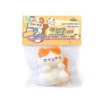 Eğlenceli Stres Atıcı Sukuşi Slime Kedi Poşette