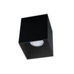 Eglo My Light My Style 63192 "Polasso Pro" 10 Cm Uzunluğunda Alüminyum Siyah Tavan Armatürü