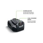 Ego Power CH2100E Standart Şarj Ünitesi