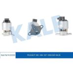 Egr Valf P206 P406 P307 P806