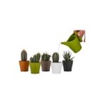 Egzotik Bahçe Egzotikbahçe Dekoratif Kaktüs Sukulent Saksısı 5 Farklı Renk- 6cm