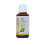 einnatur Sarı Kantaron Yağı (Hypericum perforatum oil), 30 Ml,%100 Saf Soğuk Sıkım Zeytinyağında Maserasyon, St. John's Wort oil