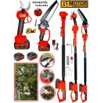 Eisenn German Red 3 Lü Budama Set Bl Fırçasız Motor Yağlamalı Budama Testeresi + Bağ Makası + Teleskop
