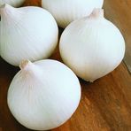 Eko Paket Beyaz Tatlı Soğan Tohumu 650 Tohum + Spriz Hediye Tohum
