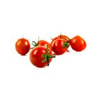 Eko Paket Kiraz Domates Tohumu Misket Domates Tohumu 50 Tohum+Hed