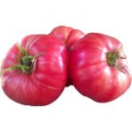 Eko Paket Nadir İri Pembe Domates Tohumu 65 Tohum +Hediye Tohum