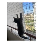 EKOAĞ Balkon Filesi 1x7 Metre Kedi Filesi | Kuş Filesi | Güvenlik Filesi