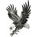 EkoAlışverişDünyam Kartal Geçici Dövme Şablonu Büyük Boy