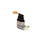 Ekobox Eros Jasmin Massage Oil 120ML Yasemin Kokulu Masaj Yağı 3 Adet - 1Paket