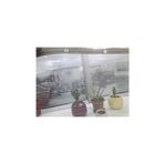 Ekodoğa Balkon Filesi 1X3 M Kedi Filesi Kuş Filesi Kuş Önleme Filesi Balkon Ağı Koruma Filesi