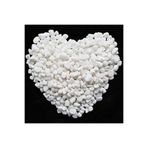 Ekodoğa Beyaz Dolomit Taş 10 Kg 1 2 Cm Dere Çakıl Taşı Bahçe Süs Saksı Teraryum Akvaryum 23No M