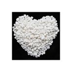 Ekodoğa Beyaz Dolomit Taş 25 Kg 1 2 Cm Dere Taşı Çakıl Bahçe Süs Saksı Teraryum Akvaryum