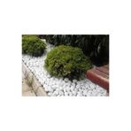Ekodoğa Beyaz Dolomit Taş 25 Kg 4 6 Cm Dekoratif Bahçe Süs Taşı Loche