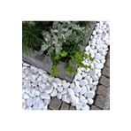 Ekodoğa Dolomit Beyaz 30 kg 4-6 cm Dekoratif Taş