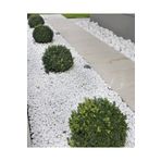 Ekodoğa Dolomit Taş 20 Kg 2-4 Cm Beyaz Dolomit Taş Saksı Dibi Dekoratif Taş Bahçe Süsleme Taşı Peyzaj No.3