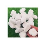 Ekodoğa Dolomit Taş 25 Kg 2-4 Cm Beyaz Dolomit Taş Saksı Dibi Dekoratif Taş Bahçe Süsleme Taşı Peyzaj Taşı