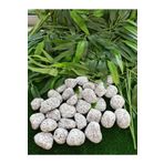 Ekodoğa Granit Dolomit Siyah Beyaz 10 kg 2.5-4 cm Dekoratif Taş