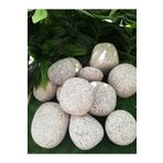 Ekodoğa Granit Dolomit Siyah Beyaz 25 kg 6-10 cm Dekoratif Taş