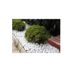 Ekodoğa Loche Dolomit Beyaz 25 kg 4-6 cm Dekoratif Taş