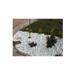 Ekodoğa Loche No 4-5 Dolomit Beyaz 25 kg 2.5-4 cm Dekoratif Taş