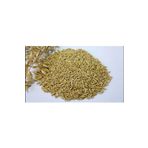 Ekodoğa Yulaf Tohumu 1 Kg Ilaçsız Yulaf Tohumu Doğal Yulaf Tohumu Yemlik Yulaf Tane Yulaf Dane Yulaf