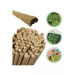 Ekofidan Bambu Fidan Bitki Destek Çubuğu 150 Cm 25 Adet
