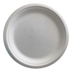 Ekolojik Bagasse Tabak 22 cm 50 Adet