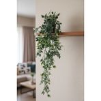 Ekozi Home Yapay Bitki Sarmaşık Saksıda 85 Cm - Yeşil