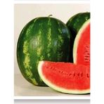 Eks Ticaret Agrodal Tarim Ata Tohumu Doğal Diyarbakır Kapruzu Tohum