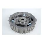 EKSANTRIK DISLISI - 1.5 DCI - E.M. AYARSIZ - SABIT MEGANE - CLIO - KANGOO - 1.5 DCI MOTORTEC RNT0449