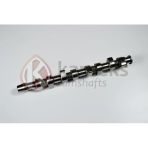 Eksantrık Mılı Transporter T4 Passat Caddy 1,9 Abl 1Y Aaz (Dokum) - Kameks 10902