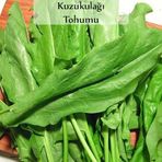 Ekşi Otu Tohumu Kuzukulağı Tohumu 1 Paket (1Gr) Kuzu Kulağı Ekşimen Otu Tohumu