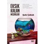 Eksik Kalan Mısralar - Şule Çabuk