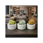 El Yapımı Mini Saksı Seti, 5 Cm, Modern Beton Tasarım