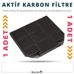 ELECTROLUX EFB60566DX DAVLUMBAZ KARBON FİLTRESİ