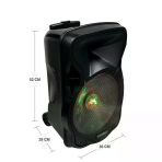 Electromaster 30Cm Portatif Taşınabilir Mikrofonlu Amfili Seyyar Ses Sistemi+ Karaoke