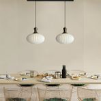 Elegant Cam Beyaz Ikili Avize Eskitme Tokmak Başlık Sarkıt Lamba Restoran Salon Aydınlatma
