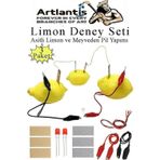 Elektrik Limon Deney Seti 3 Paket Limondan Elektrik Uretme Seti Limon Pili Fen Bilgisi Dersi Kimyasal Enerji