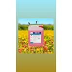 Elisıvı Arap Sabunu 5 Lt - Pembe