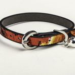 Elite Çok Renkli Derili Metal Tokalı Kedi Tasması