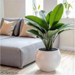 Elite Küre Saksı Yuvarlak Saksı Modern Dekoratif Iç Hazneli Plastik 27 Litre Beyaz Renk 1 Adet