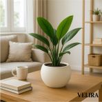 Elite Küre Saksı Yuvarlak Saksı Modern Dekoratif Plastik Saksı 7,5 Litre 1 Adet