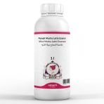 Elito 1 lt Premium Naneli Mocha Latte Esansı
