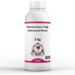 Elito Marula Uçucu Yağı Sclerocarya Birrea 1 kg