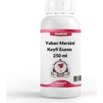 Elito Premium 250 ml Yaban Mersini Keyfi Esansı