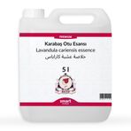 Elito Premium Karabaş Otu Esansı 5 litre