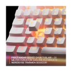 Elivora Apex 3 Tkl Türkçe Gaming Klavye Tenkeyless, 8 Bölge Rgb Aydınlatma Türkçe Qwerty - Beyaz - Option-1 - 001-Renkli