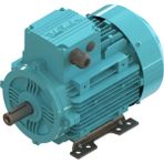 Elk 0.25 Kw 1/3 Hp 3000 D/d-B3 (2EL063M2B) 380 400 Volt Trifaze Ie2 B3 Ayaklı Elektrik Motoru