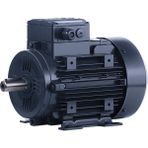 Elk 1.1 Kw 1.5 Hp 3000 D/d-b3 (3el080m2c) 380 400 Volt Trifaze Ie3 B3 Ayaklı Elektrik Motoru