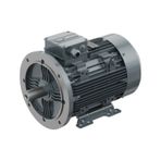 Elk Motor 2,2 Kw, 3000 Devir, B35 Ayaklı Flanşlı